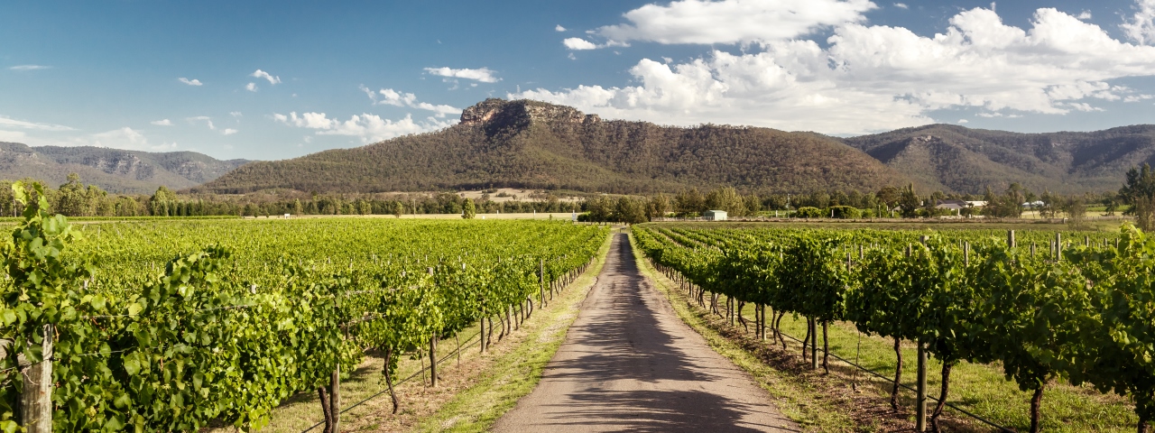 Private Jet Charter to Hunter Valley